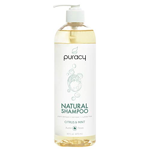 Puracy Natural Daily Shampoo, Sulfate-Free Formula, Safe for All ...