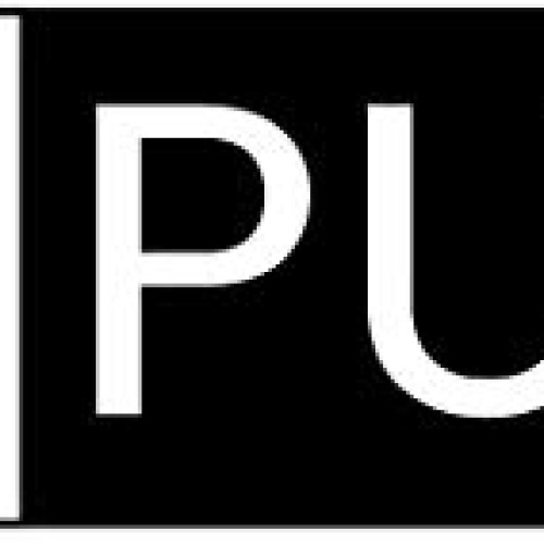 Pure Original Ingredients Turmeric Curcumin 730 Capsules No Magne...