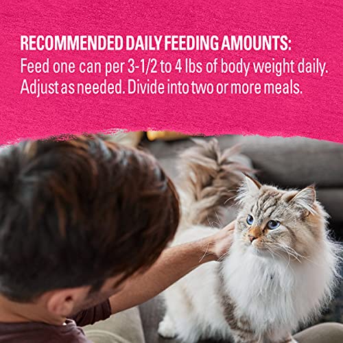 Purina Beyond Grain Free, Natural Pate Wet Cat Food, Grain Free W...