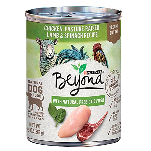 Purina Beyond Grain Free, Natural Pate Wet Dog Food, Grain Free C...