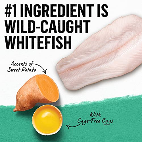 Purina Beyond Grain Free - Ocean Whitefish and Egg Recipe - 11 lb...