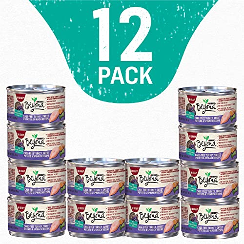Purina Beyond Grain Free Turkey, Sweet Potato & Spinach Recipe in...