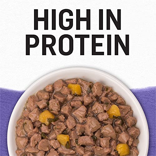 Purina Beyond Grain Free Turkey, Sweet Potato & Spinach Recipe in...