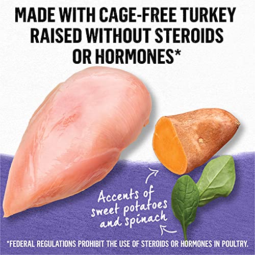 Purina Beyond Grain Free Turkey, Sweet Potato & Spinach Recipe in...