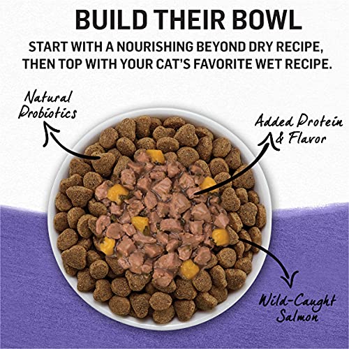 Purina Beyond Grain Free Turkey, Sweet Potato & Spinach Recipe in...
