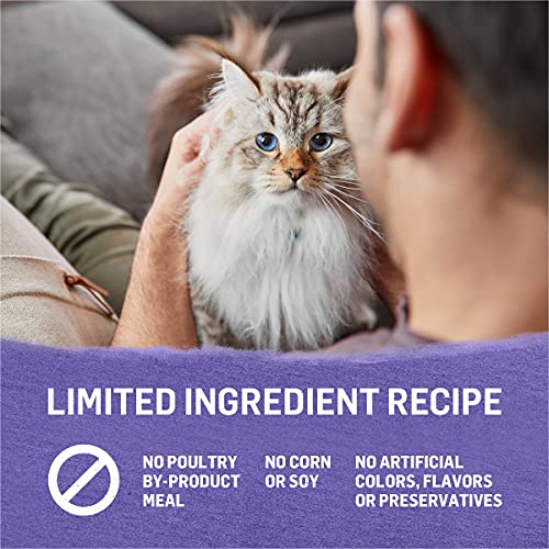 Purina Beyond Grain Free Turkey, Sweet Potato & Spinach Recipe in...