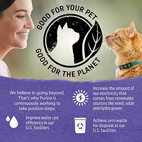 Purina Beyond Grain Free Turkey, Sweet Potato & Spinach Recipe in...