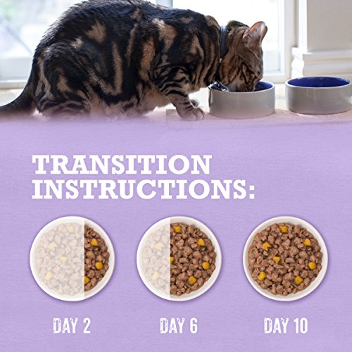 Purina Beyond Grain Free Turkey, Sweet Potato & Spinach Recipe in...