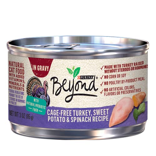 Purina Beyond Grain Free Turkey, Sweet Potato & Spinach Recipe in...