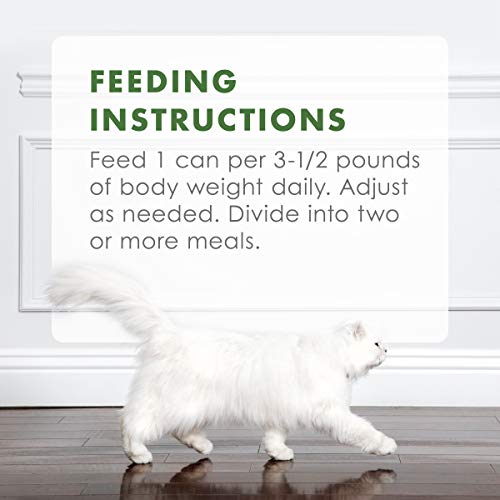 Purina Fancy Feast Grain Free, Natural Pate Wet Cat Food Variety ...
