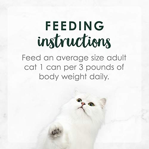 Purina Fancy Feast High Protein Senior Gravy Wet Cat Food, Chicke...