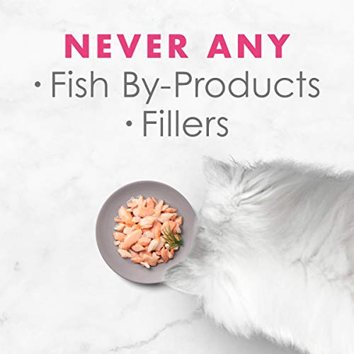 Purina Fancy Feast Wet Cat Food Complement, Appetizers Steamed Wi...