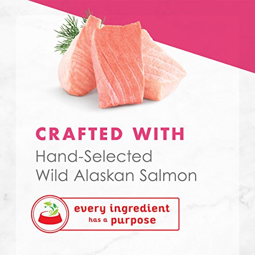 Purina Fancy Feast Wet Cat Food Complement, Appetizers Steamed Wi...