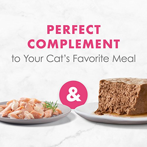 Purina Fancy Feast Wet Cat Food Complement, Appetizers Steamed Wi...