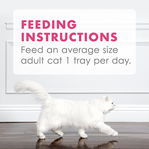 Purina Fancy Feast Wet Cat Food Complement, Appetizers Steamed Wi...