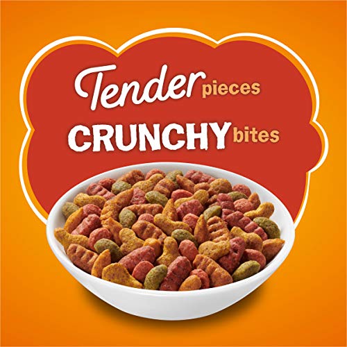 Purina Friskies Dry Cat Food, Tender & Crunchy Combo - 16 lb. Bag