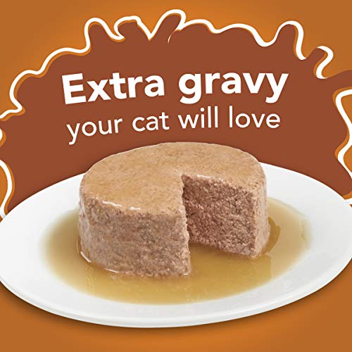 Purina Friskies Gravy Pate Wet Cat Food, Extra Gravy Pate With Ch...