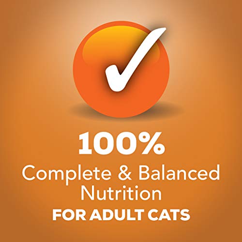 Purina Friskies Gravy Pate Wet Cat Food, Extra Gravy Pate With Ch...