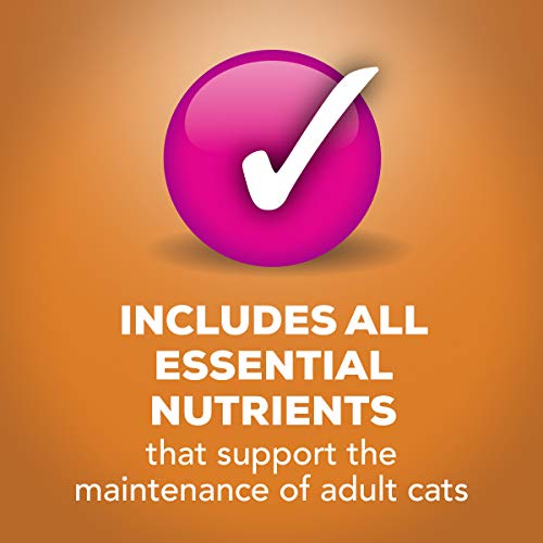 Purina Friskies Gravy Pate Wet Cat Food, Extra Gravy Pate With Ch...