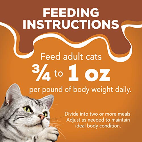 Purina Friskies Gravy Pate Wet Cat Food, Extra Gravy Pate With Ch...