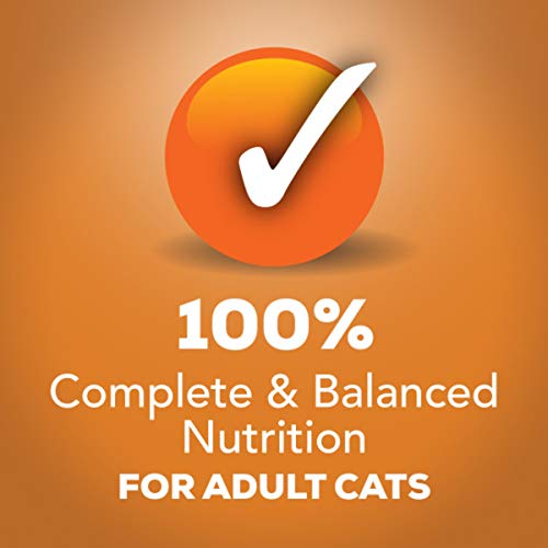 Purina Friskies Gravy Wet Cat Food; Prime Filets With Chicken - ...
