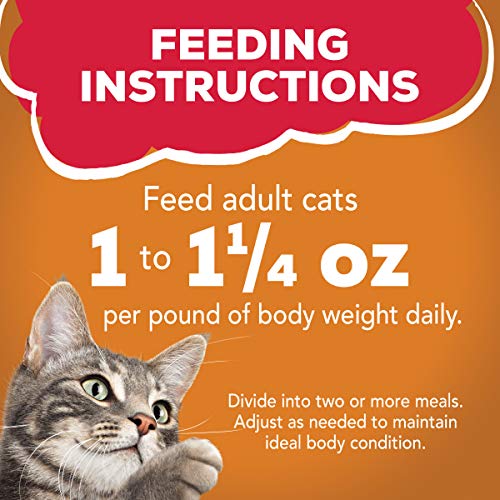 Purina Friskies Gravy Wet Cat Food; Prime Filets With Chicken - ...