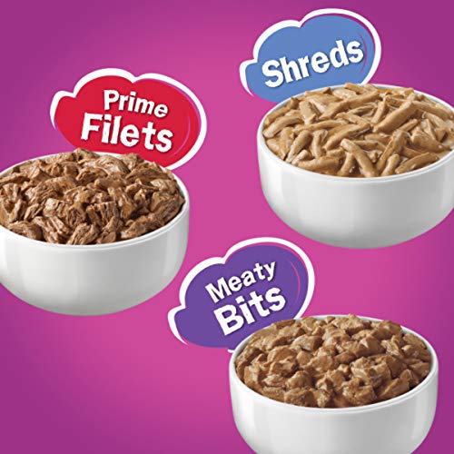 Purina Friskies Gravy Wet Cat Food Variety Pack, Poultry Shreds, ...