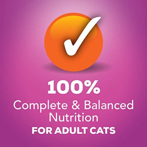 Purina Friskies Gravy Wet Cat Food Variety Pack, Poultry Shreds, ...