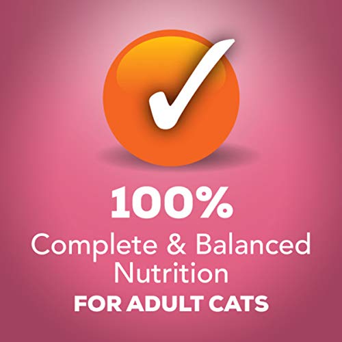 Purina Friskies Gravy Wet Cat Food Variety Pack, Prime Filets Mea...