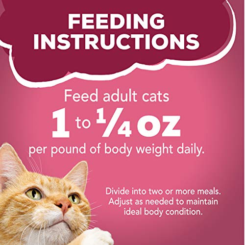 Purina Friskies Gravy Wet Cat Food Variety Pack, Prime Filets Mea...