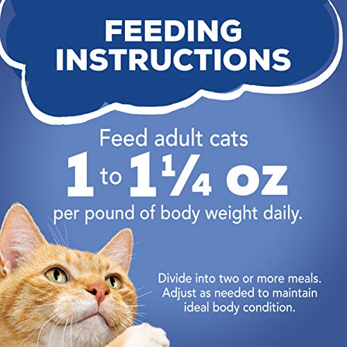 Purina Friskies Gravy Wet Cat Food Variety Pack, Seafood Prime Fi...