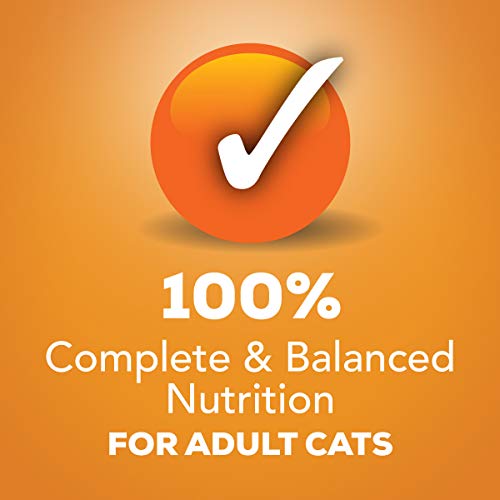 Purina Friskies Pate Wet Cat Food, Liver & Chicken Dinner - 24 ...