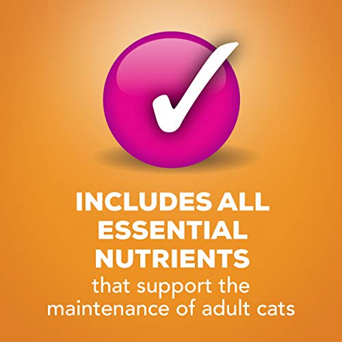 Purina Friskies Pate Wet Cat Food, Liver & Chicken Dinner - 24 ...
