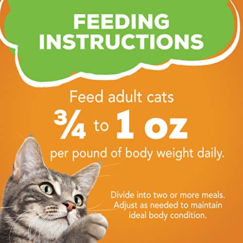 Purina Friskies Pate Wet Cat Food, Liver & Chicken Dinner - 24 ...