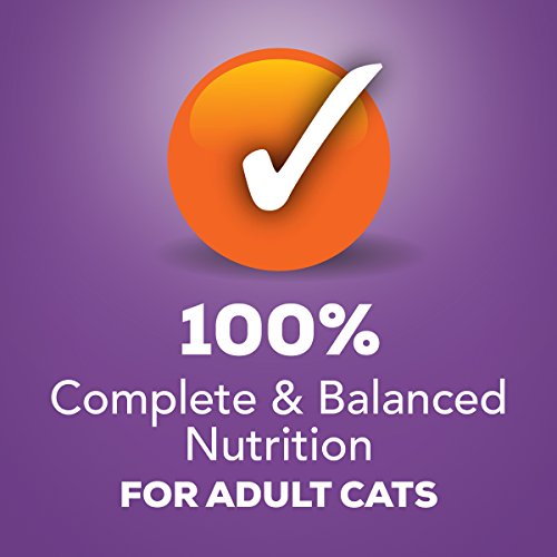 Purina Friskies Pate Wet Cat Food, Turkey & Giblets Dinner - 24...
