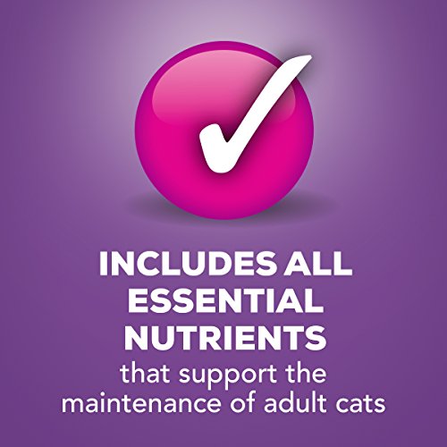 Purina Friskies Pate Wet Cat Food, Turkey & Giblets Dinner - 24...