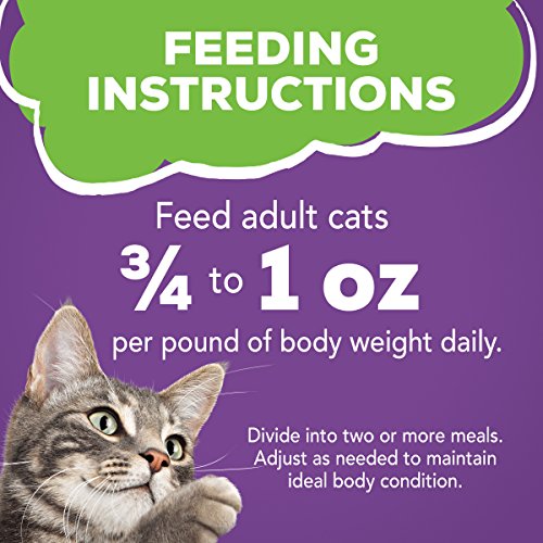 Purina Friskies Pate Wet Cat Food, Turkey & Giblets Dinner - 24...