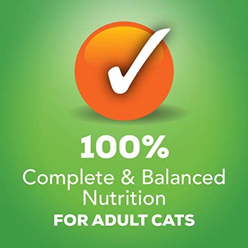 Purina Friskies Pate Wet Cat Food Variety Pack, Salmon, Turkey & ...