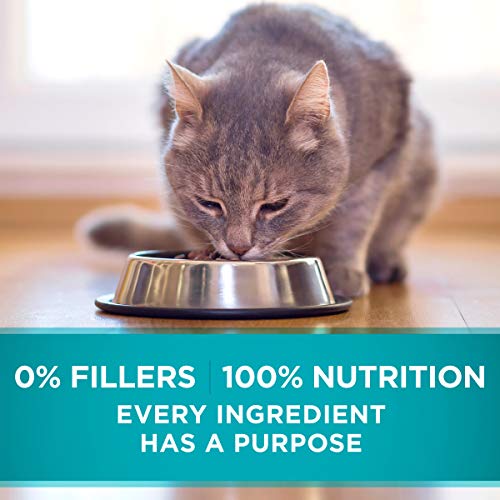 Purina ONE Grain Free, Natural Senior Pate Wet Cat Food, Vibrant ...
