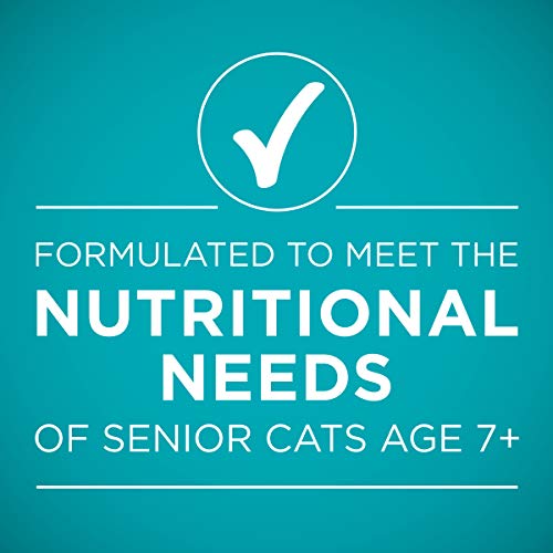Purina ONE Grain Free, Natural Senior Pate Wet Cat Food, Vibrant ...