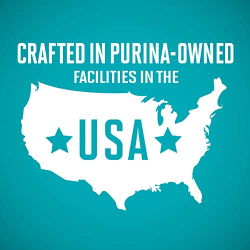 Purina ONE Grain Free, Natural Senior Pate Wet Cat Food, Vibrant ...