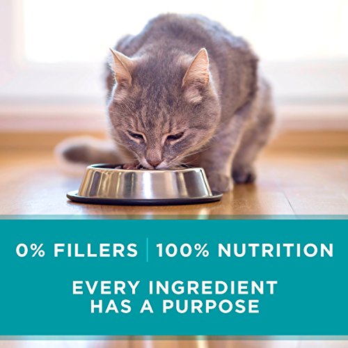 Purina ONE High Protein, Grain Free Pate Wet Cat Food Variety Pac...