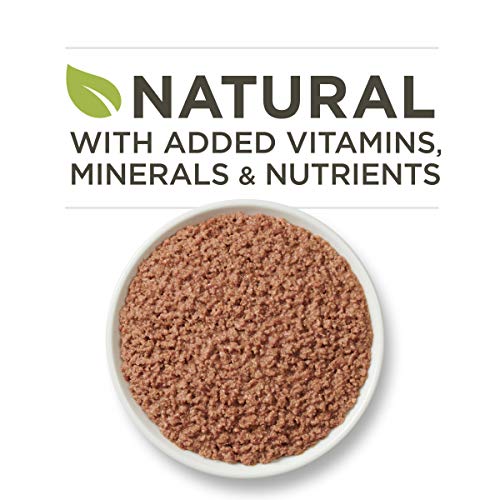 Purina ONE Natural, High Protein, Grain Free Pate Wet Cat Food, B...