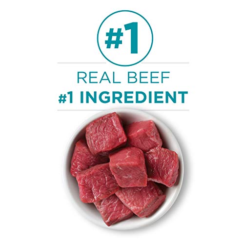 Purina ONE Natural, High Protein, Grain Free Pate Wet Cat Food, B...