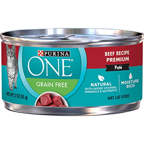 Purina ONE Natural, High Protein, Grain Free Pate Wet Cat Food, B...