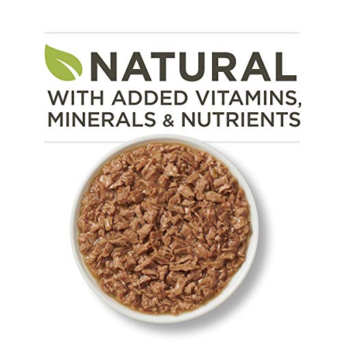 Purina ONE Natural, High Protein, Gravy Wet Cat Food, True Instin...