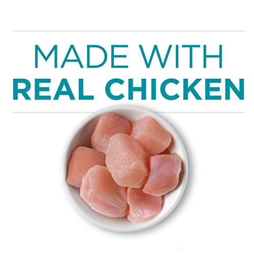 Purina ONE Natural, High Protein, Gravy Wet Cat Food, True Instin...