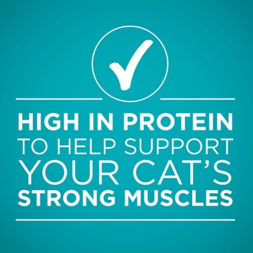 Purina ONE Natural, High Protein, Gravy Wet Cat Food, True Instin...