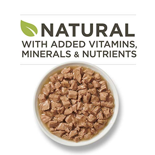 Purina ONE Natural, High Protein Wet Cat Food, True Instinct Salm...