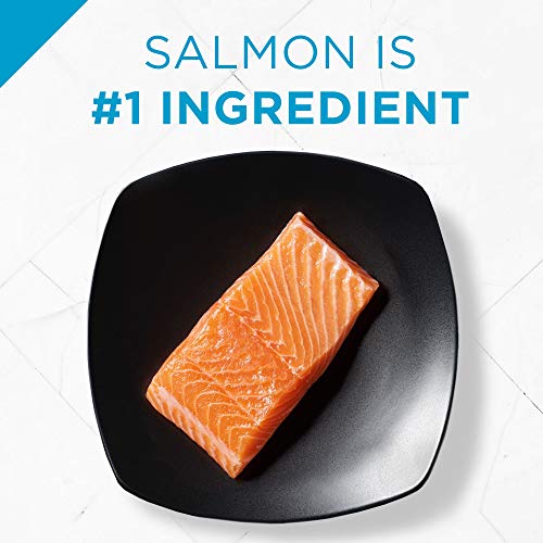 Purina Pro Plan Focus Adult Indoor Care Salmon & Rice Formula - 7lb